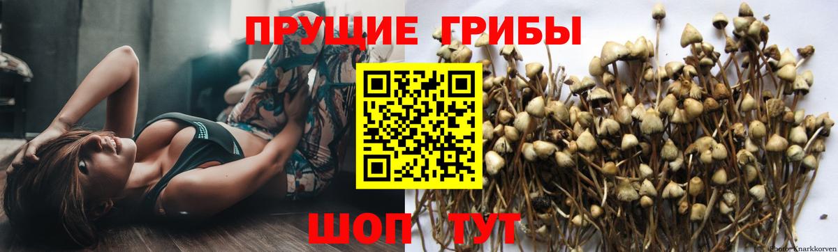 Псилоцибиновые грибы MAGIC MUSHROOMS Подольск